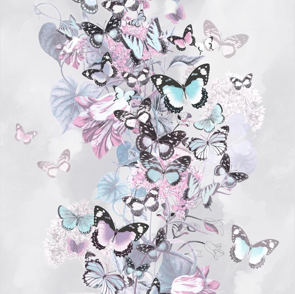 Blue And Pink Butterfly Wallpapers