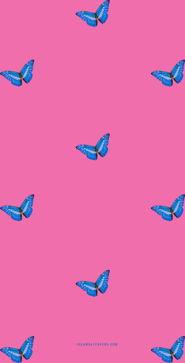 Blue And Pink Butterfly Wallpapers