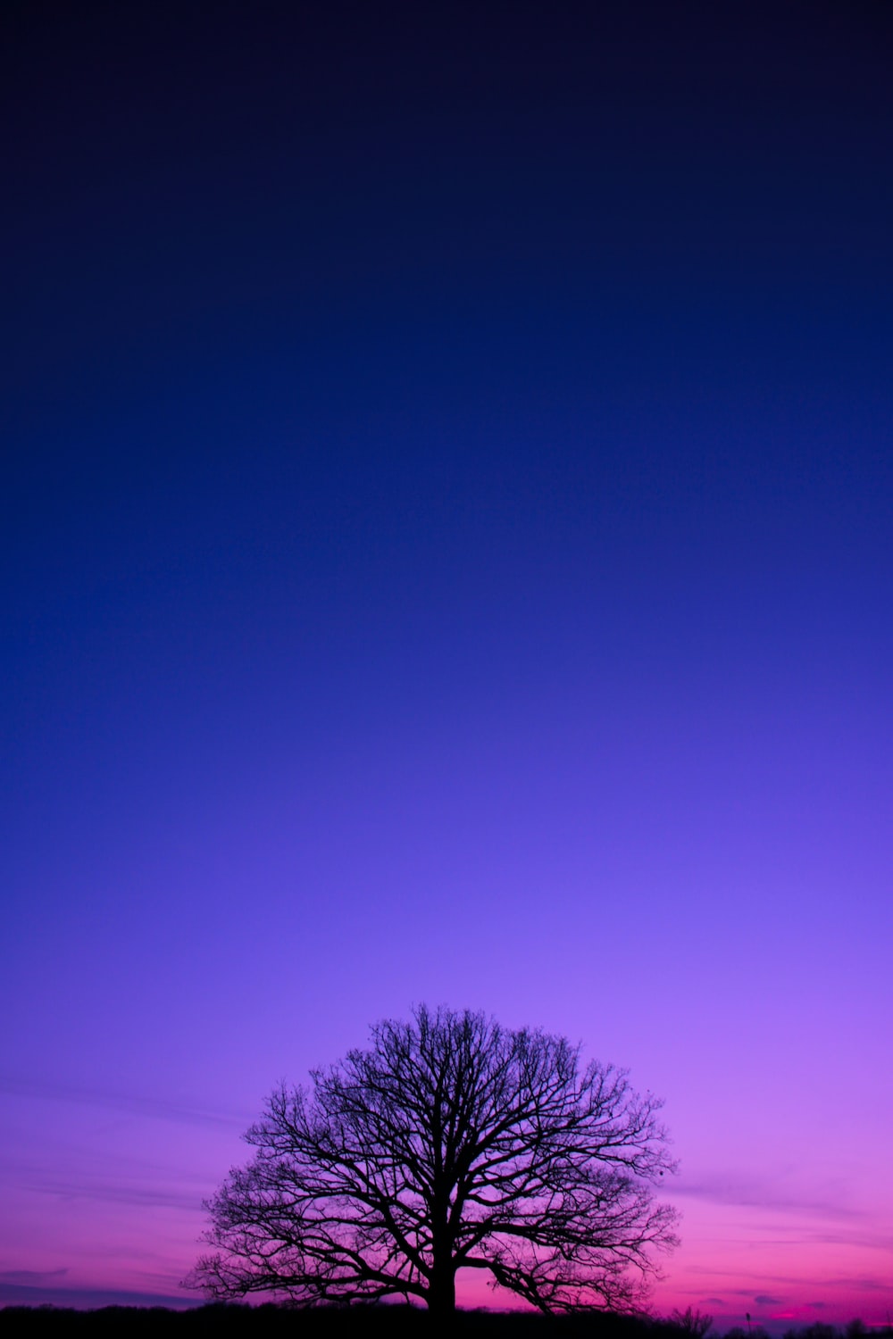 Blue And Purple Wallpapers