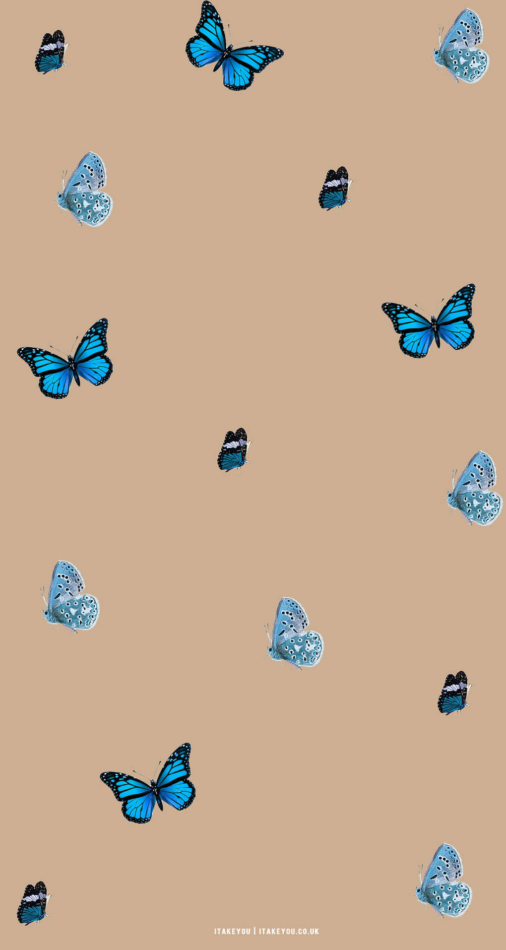 Blue Butterflies Aesthetic Wallpapers