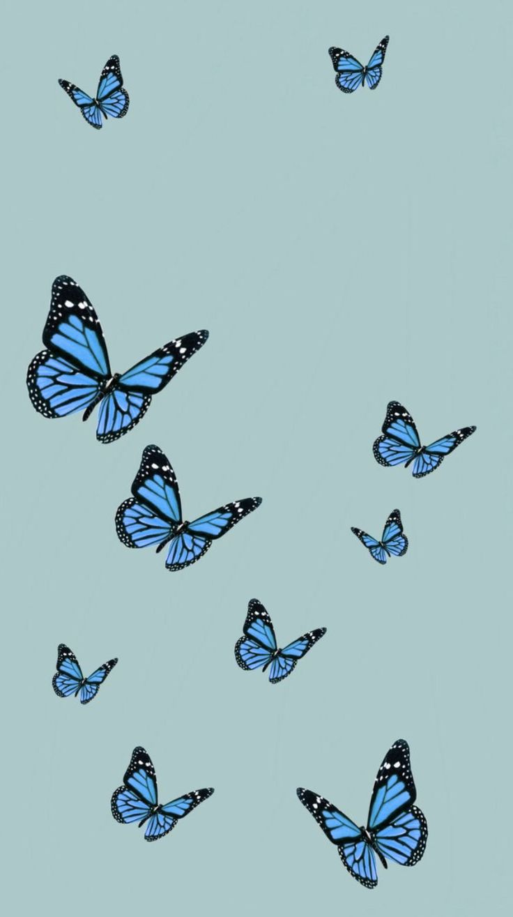 Blue Butterflies Aesthetic Wallpapers