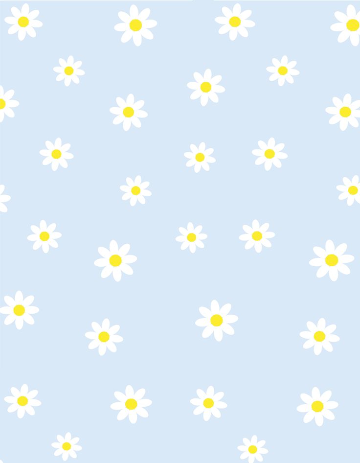 Blue Daisy Wallpapers