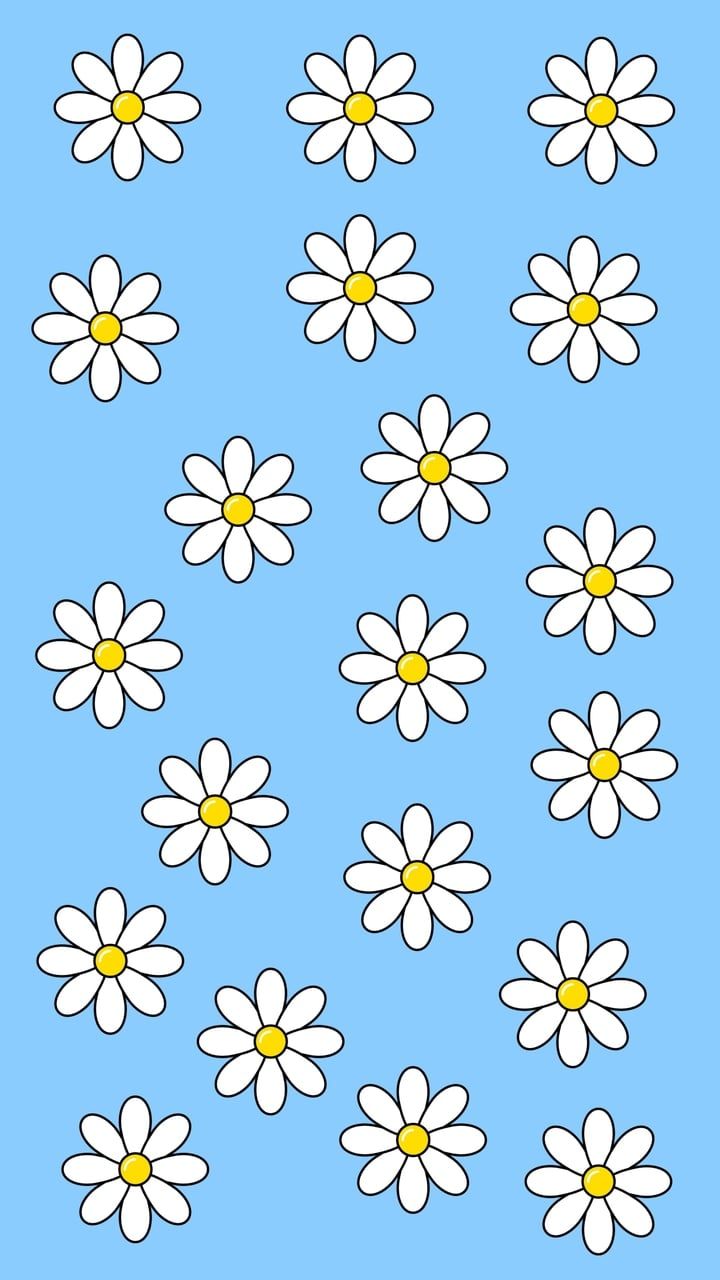 Blue Daisy Wallpapers