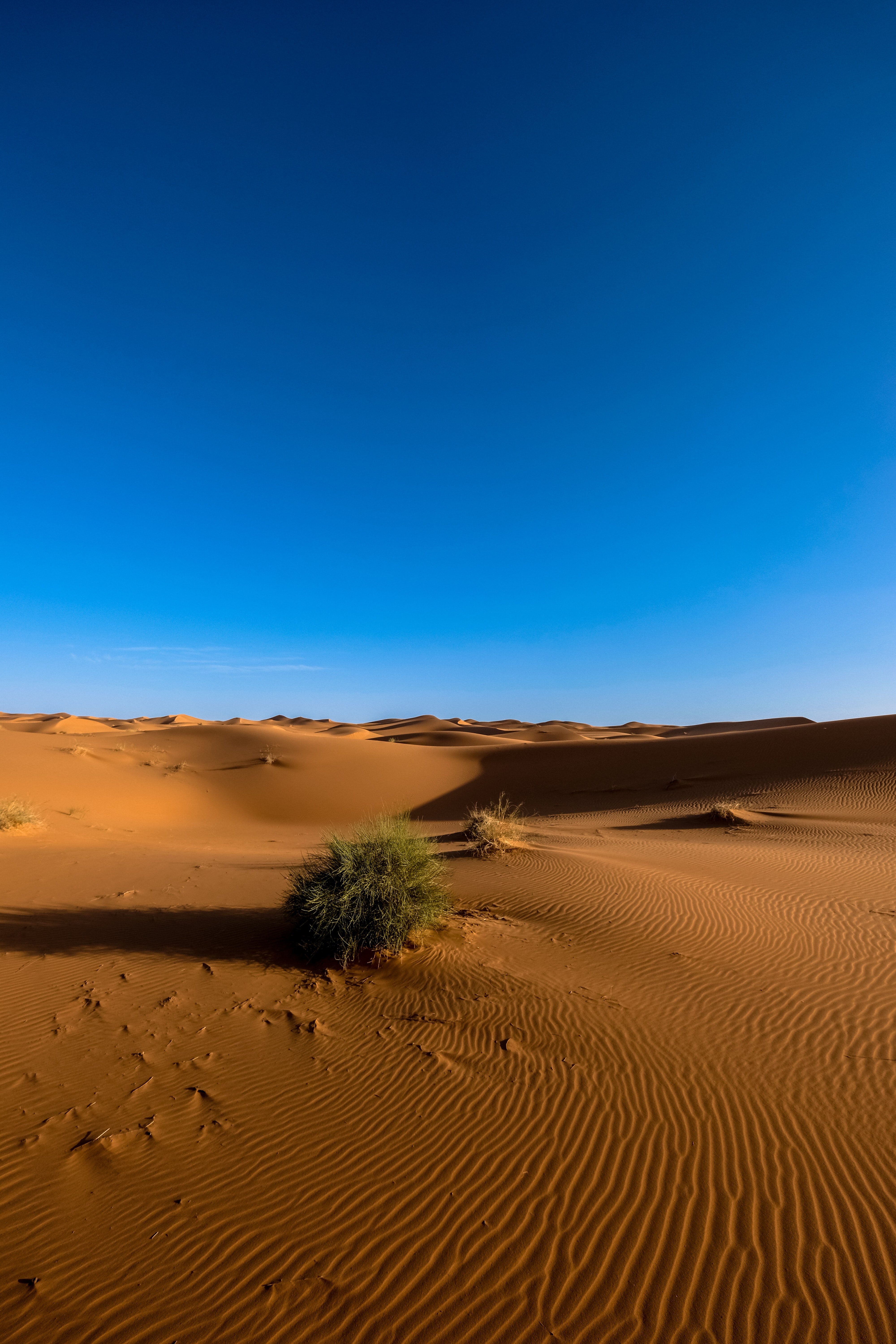 Blue Desert Wallpapers