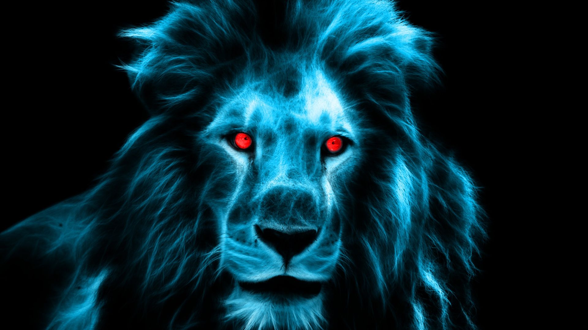 Blue Eye Lion Wallpapers