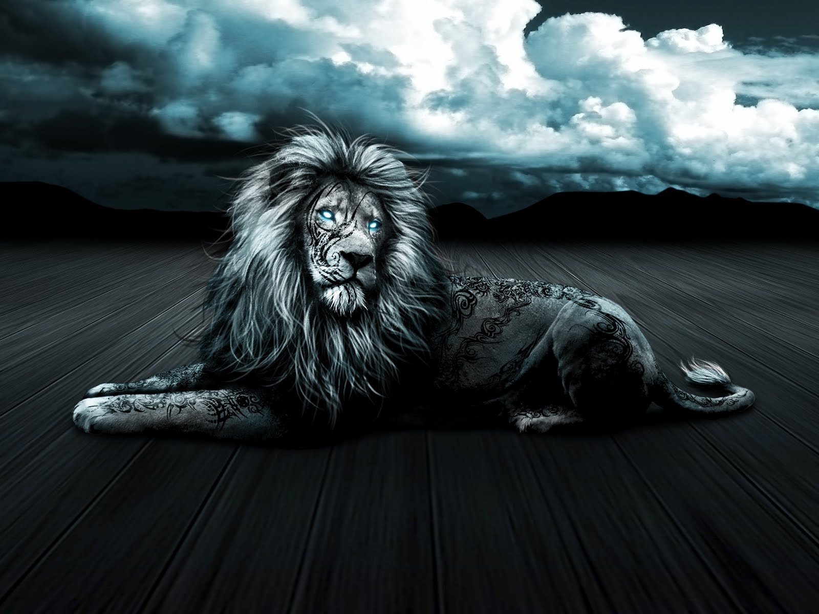 Blue Eye Lion Wallpapers