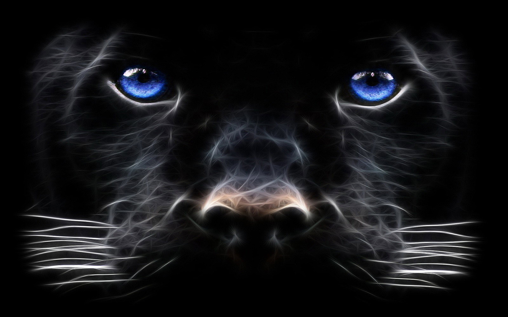 Blue Eye Lion Wallpapers