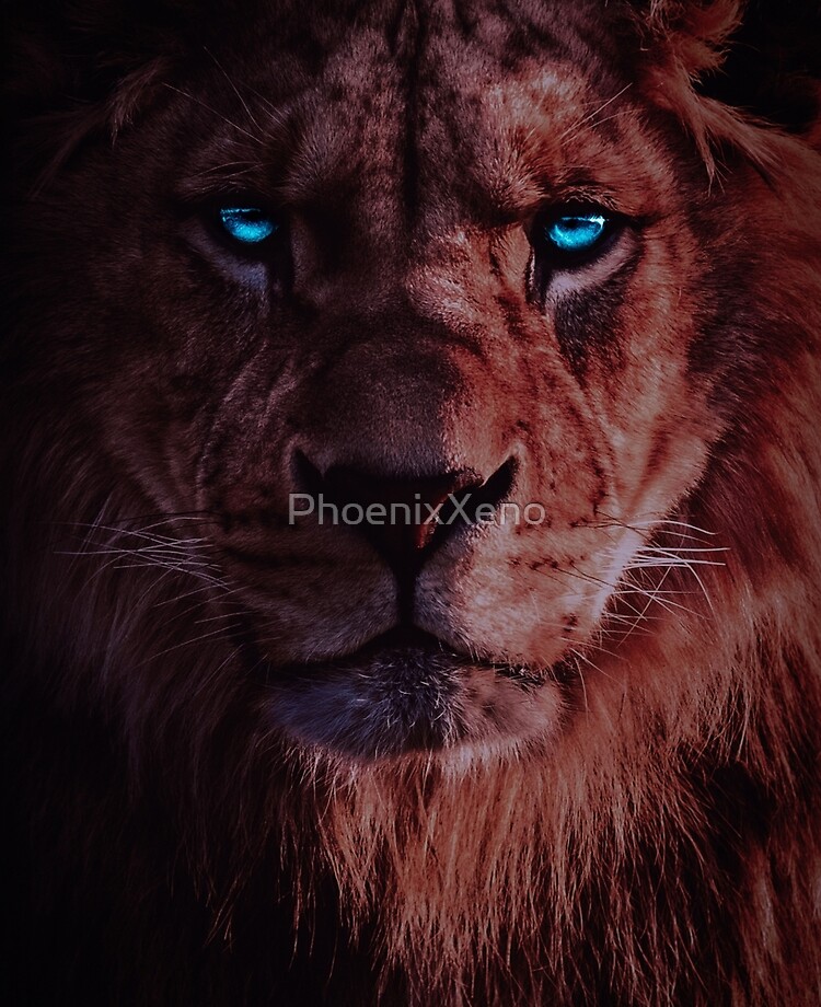 Blue Eye Lion Wallpapers