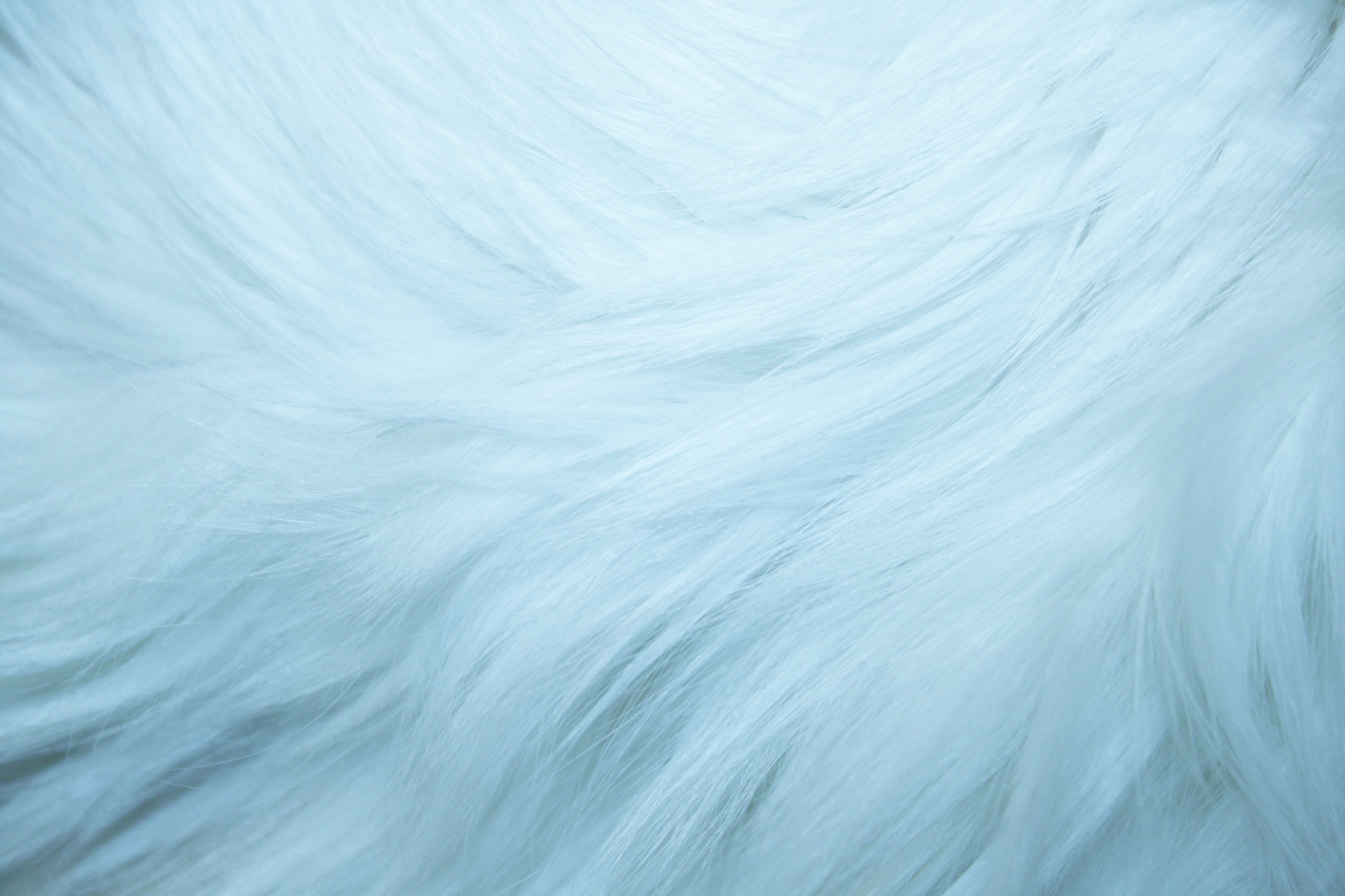 Blue Fluffy Wallpapers