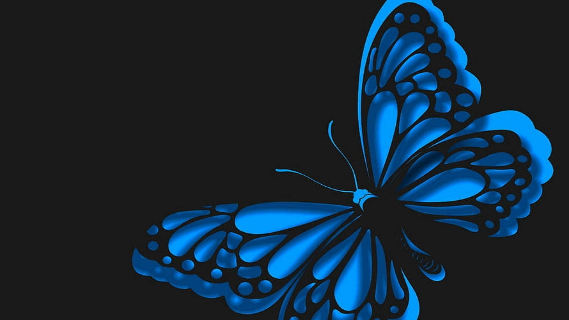 Blue Neon Butterfly Wallpapers