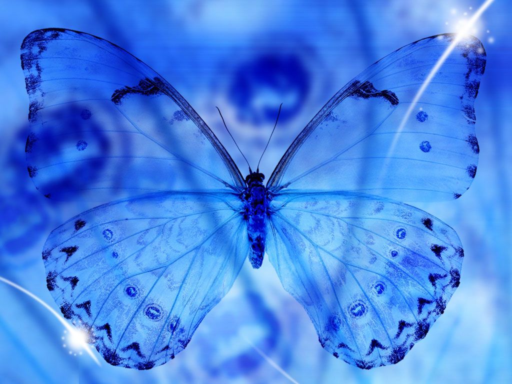 Blue Neon Butterfly Wallpapers