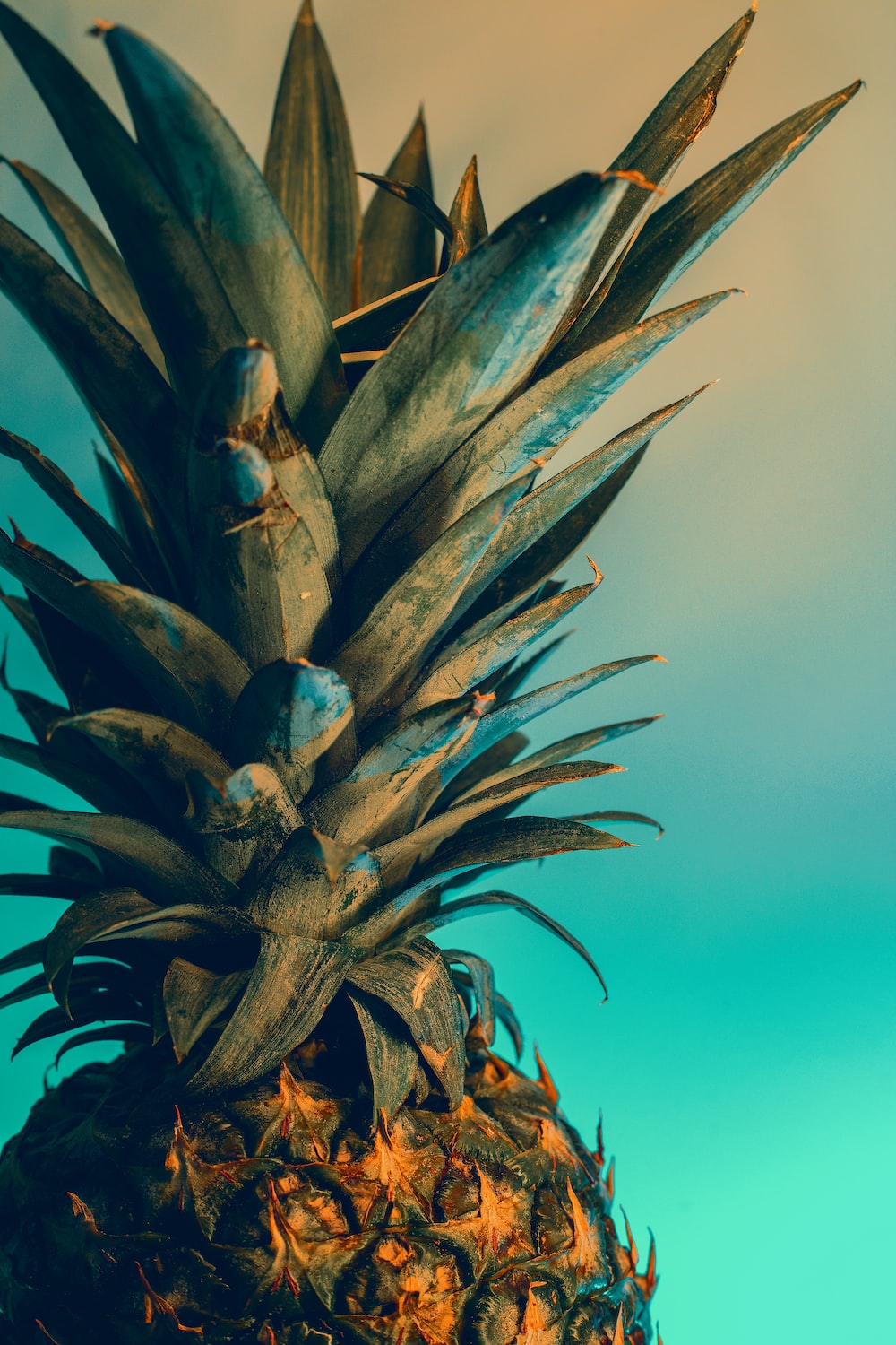 Blue Pineapple Wallpapers