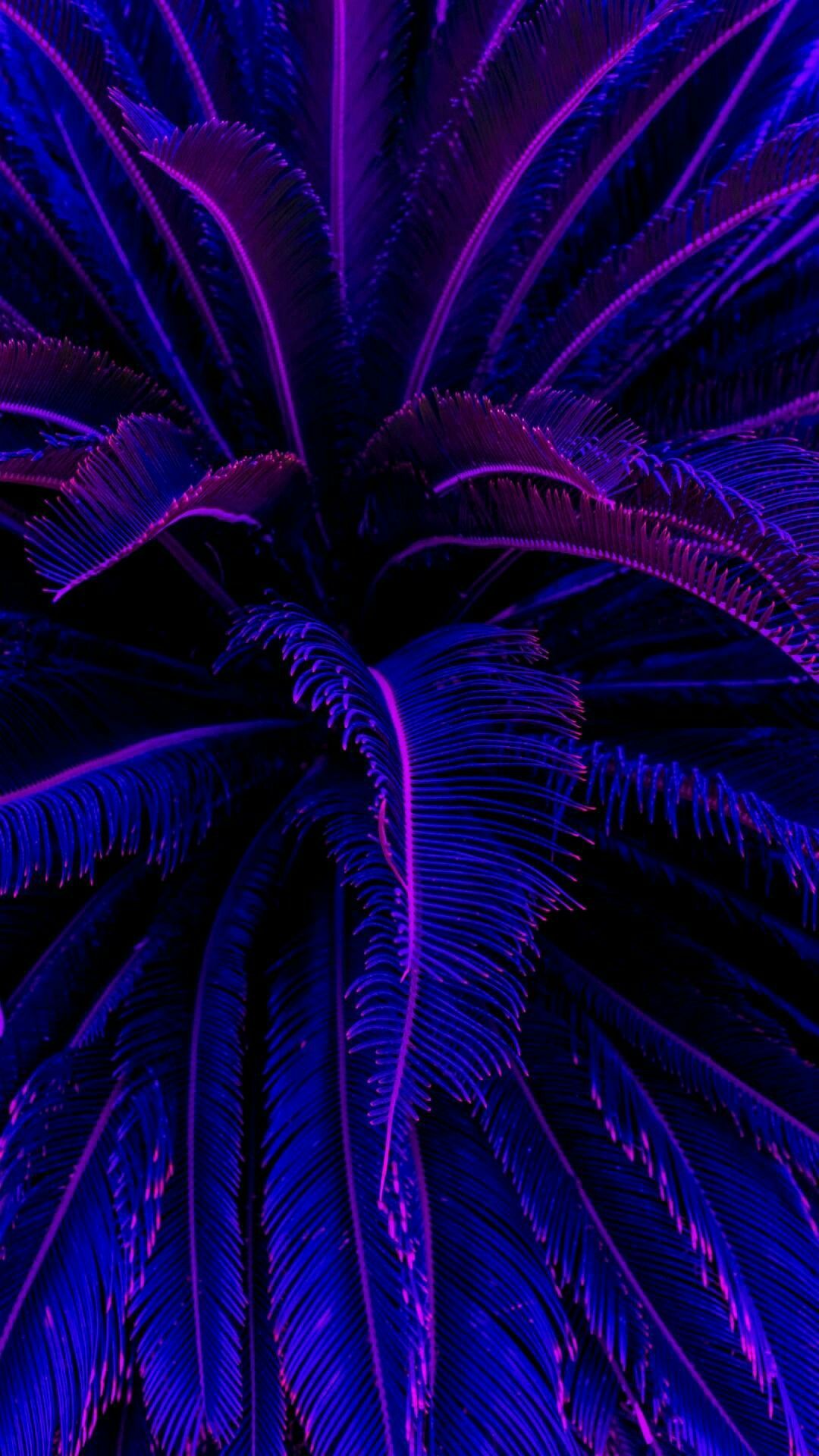 Blue Purple Aesthetic Wallpapers