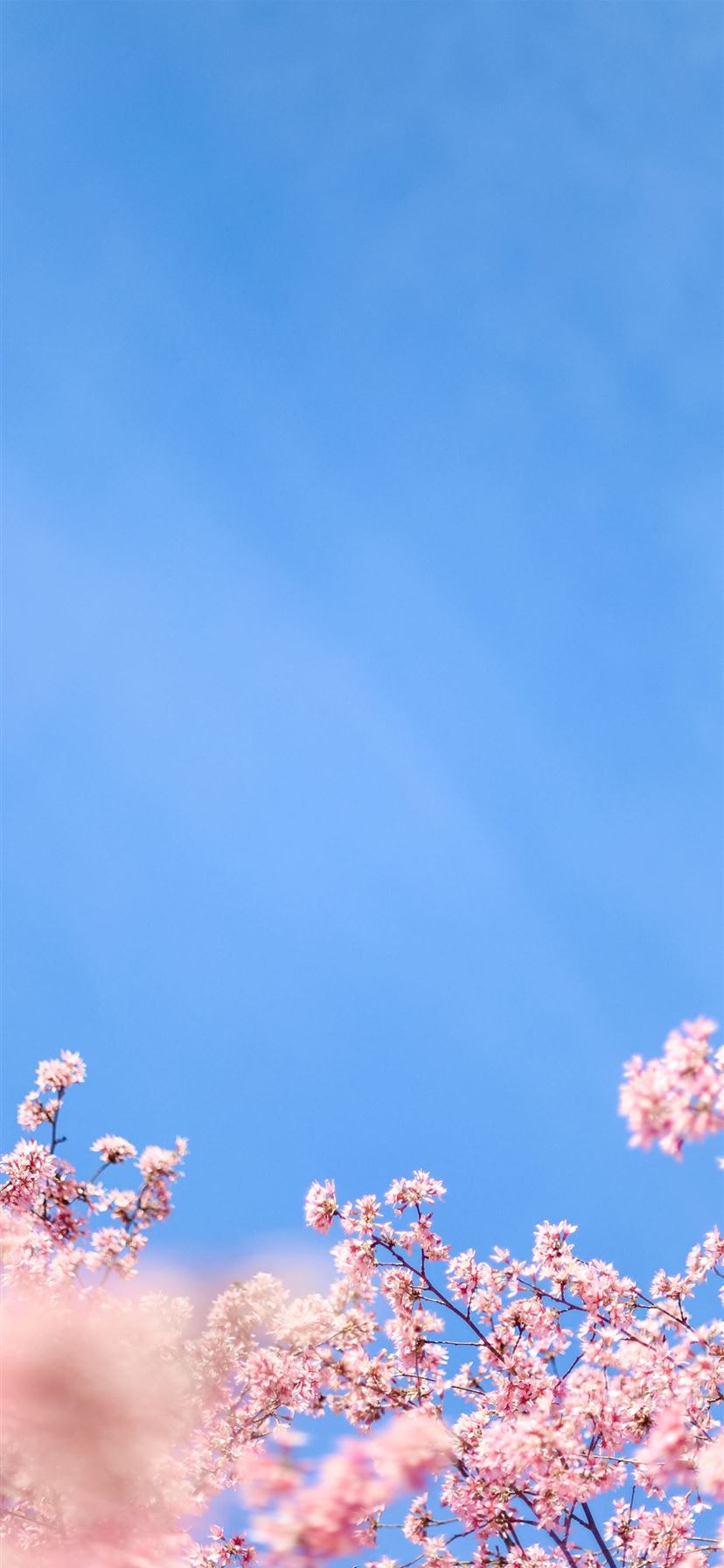 Blue Skies Art Wallpapers