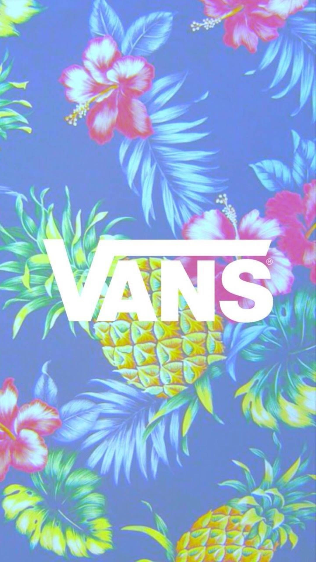 Blue Vans Aesthetic Wallpapers