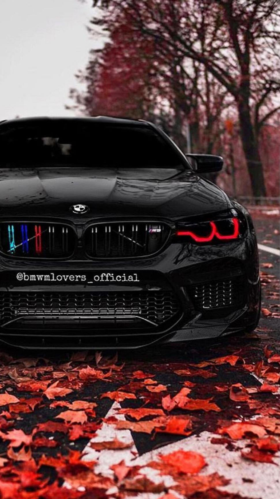 Bmw Walpaper Wallpapers