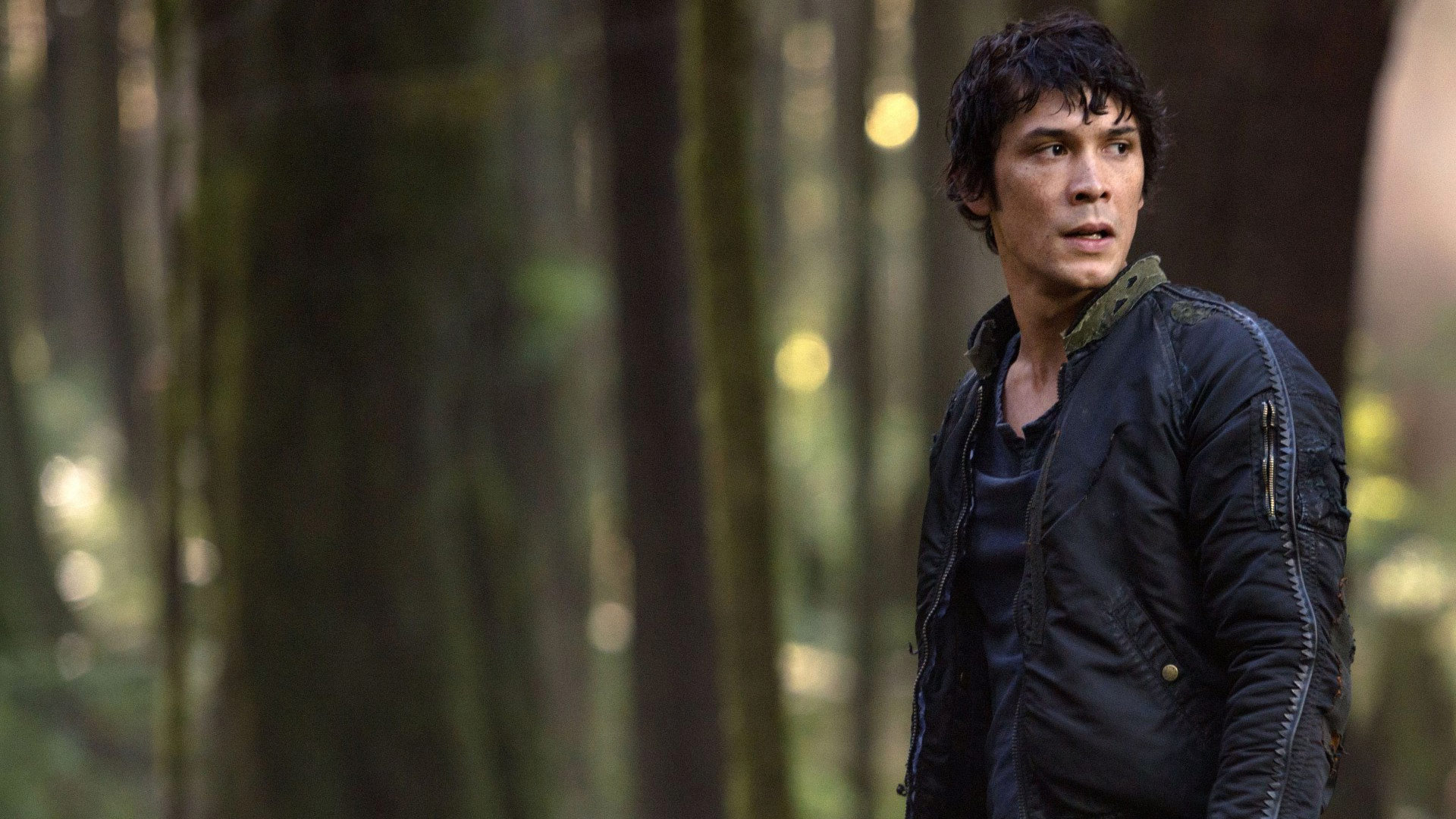 Bob Morley Gallery Wallpapers