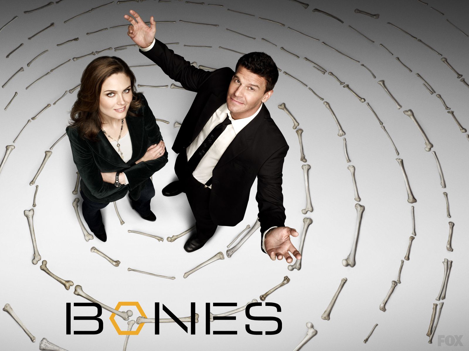 Bones Tv Show Logo Wallpapers