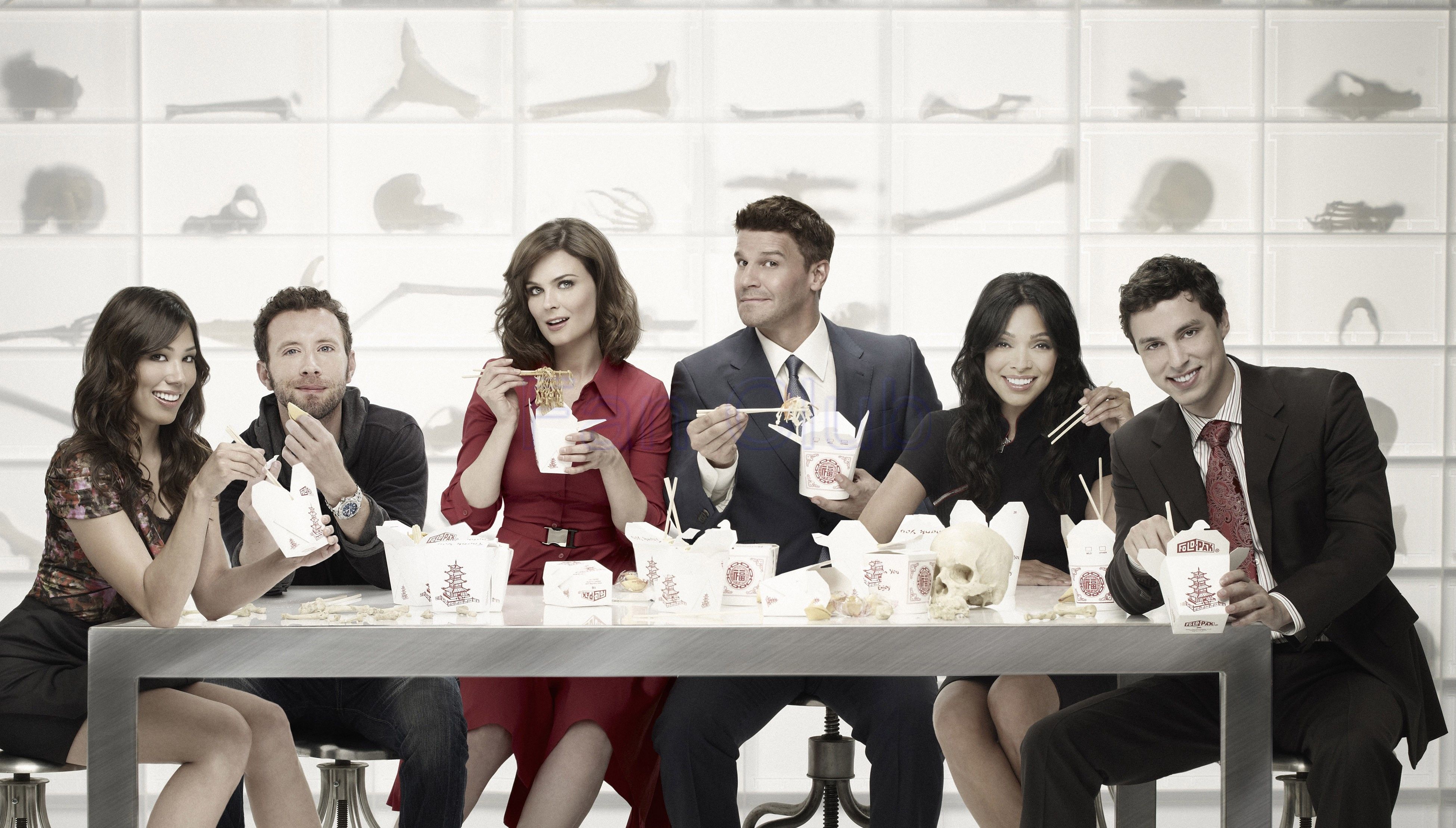 Bones Tv Show Logo Wallpapers