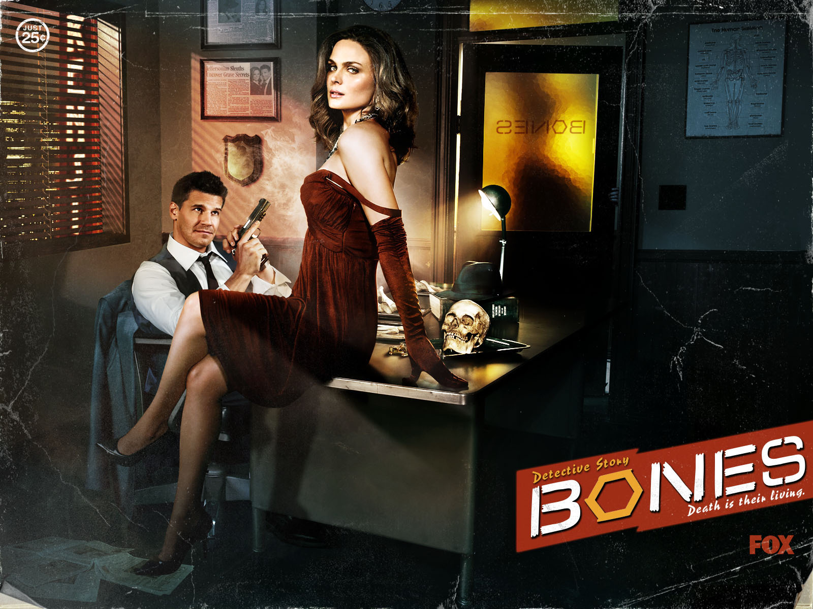 Bones Tv Show Logo Wallpapers