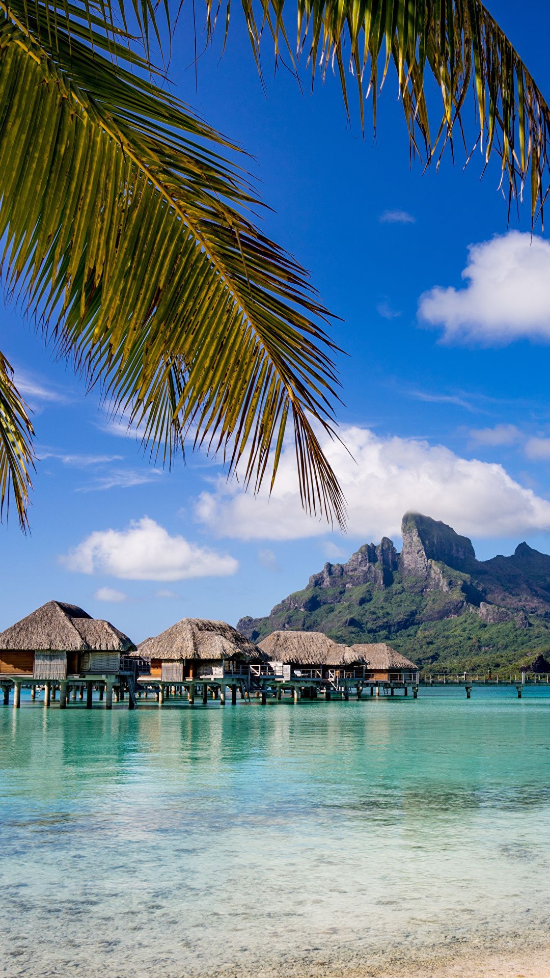 Bora Bora Iphone Hd Wallpapers