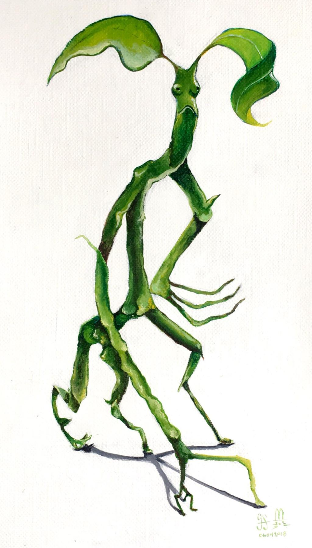 Bowtruckle Tattoo Wallpapers