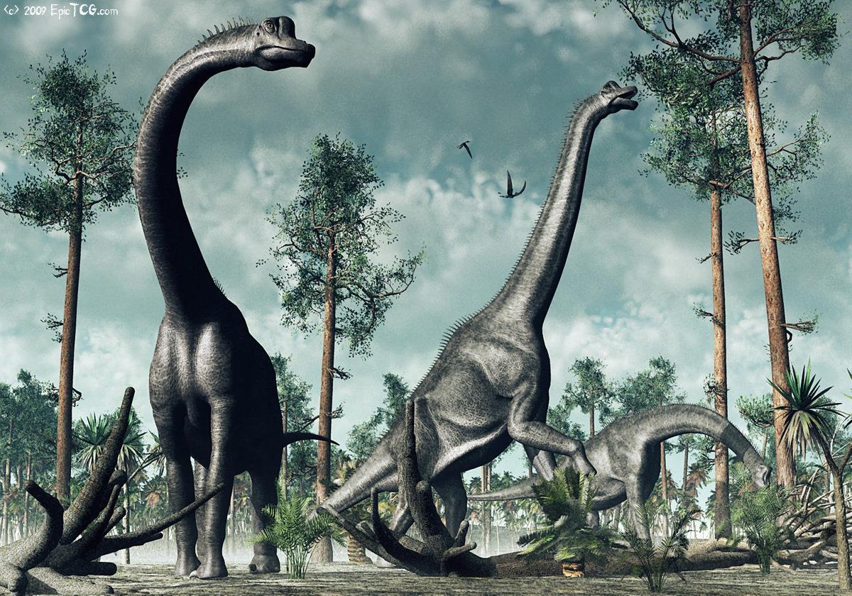 Brachiosaurus Wallpapers