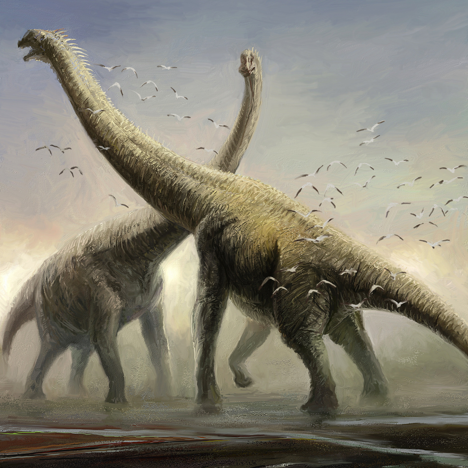 Brachiosaurus Wallpapers