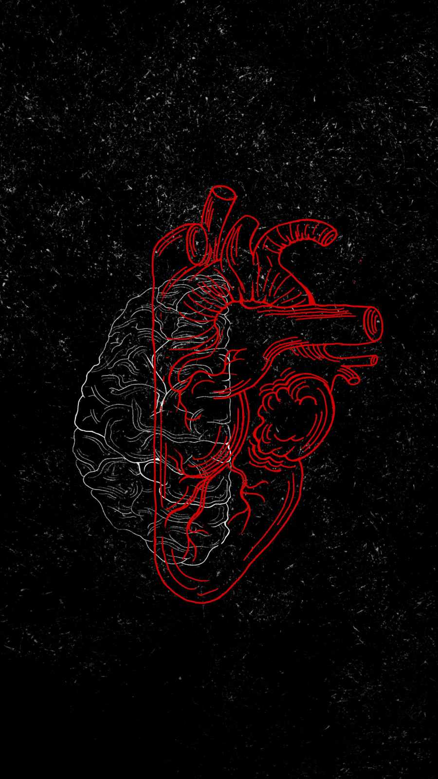 Brain And Heart Images Wallpapers