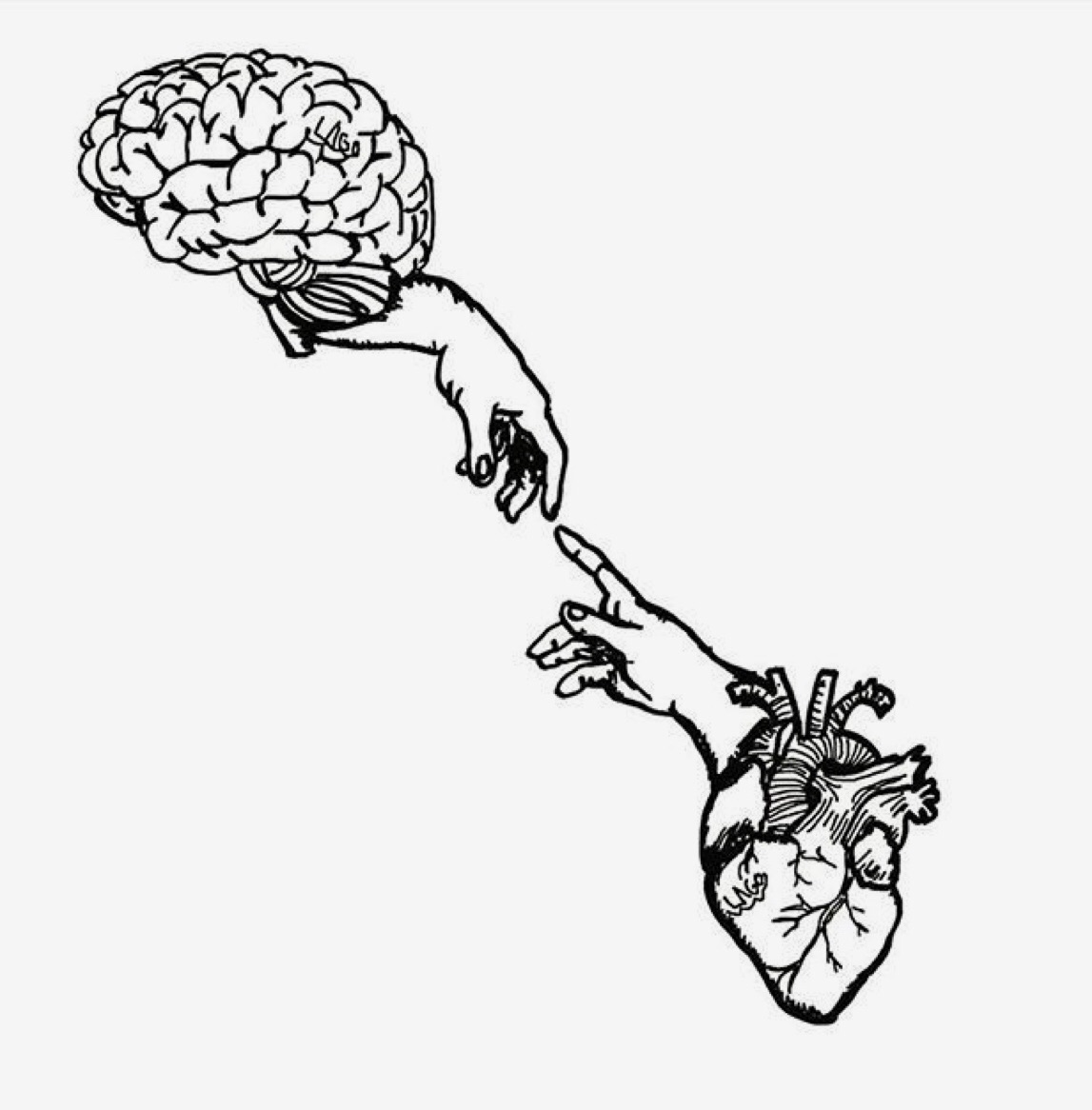 Brain And Heart Images Wallpapers