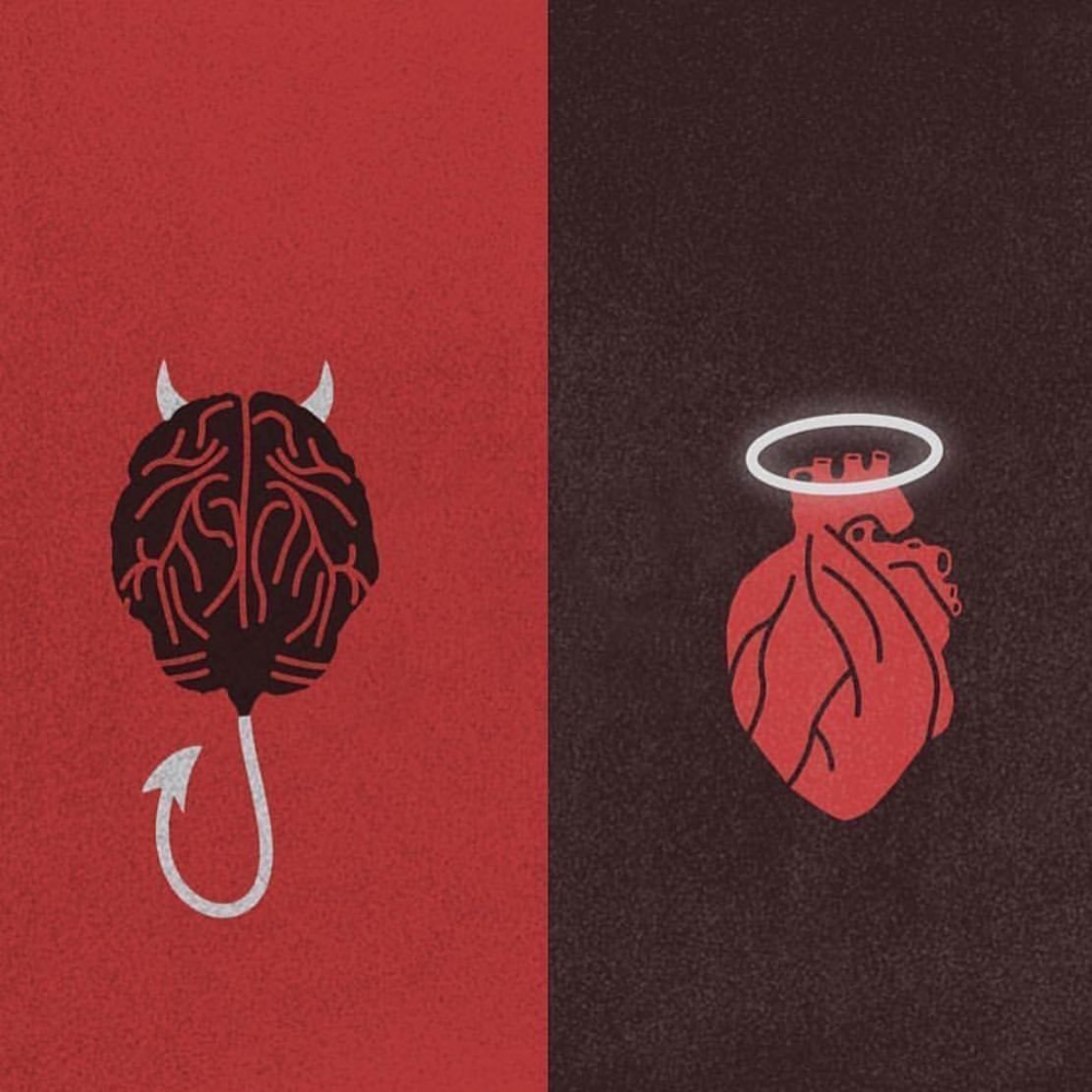 Brain And Heart Images Wallpapers