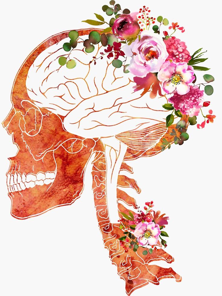 Brain Art Images Wallpapers