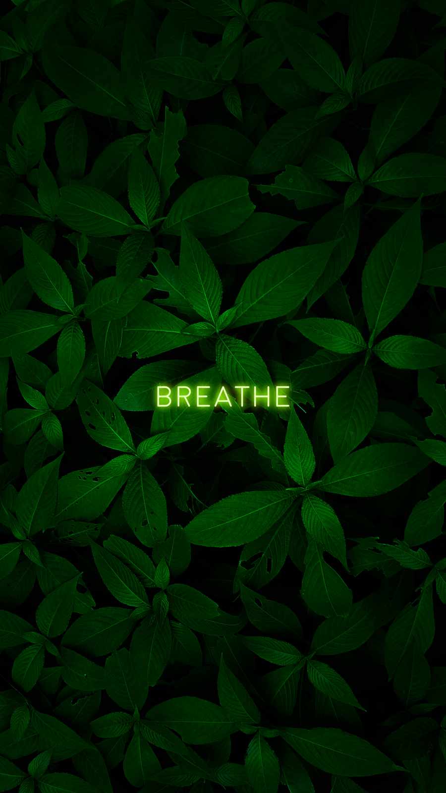 Breathe Iphone Wallpapers