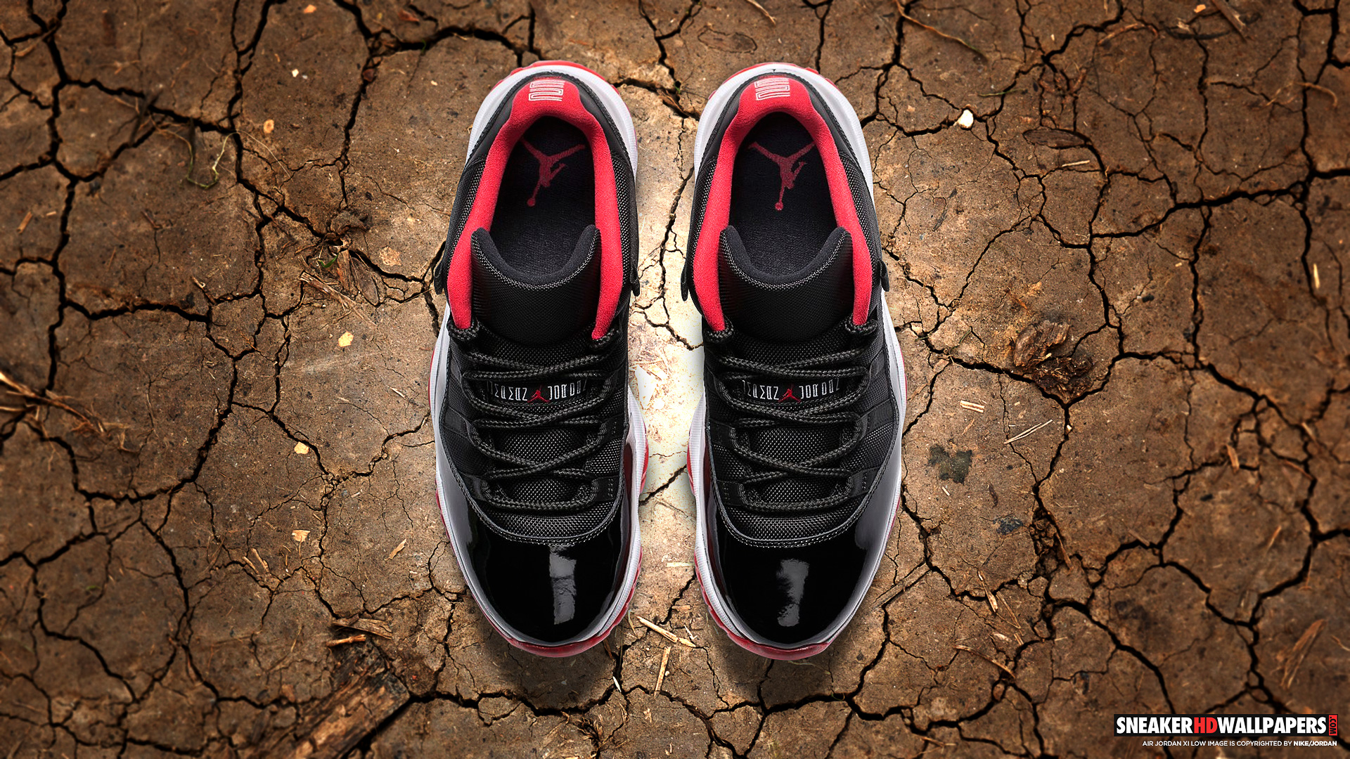 Bred 11 Wallpapers