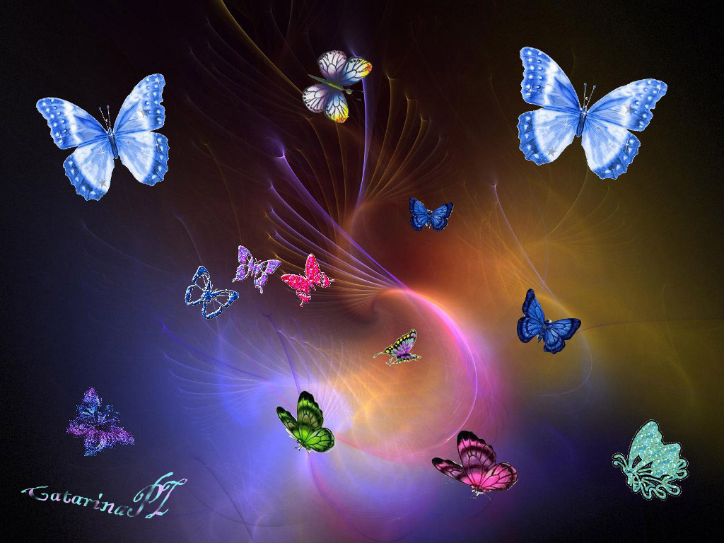 Bright Butterfly Wallpapers