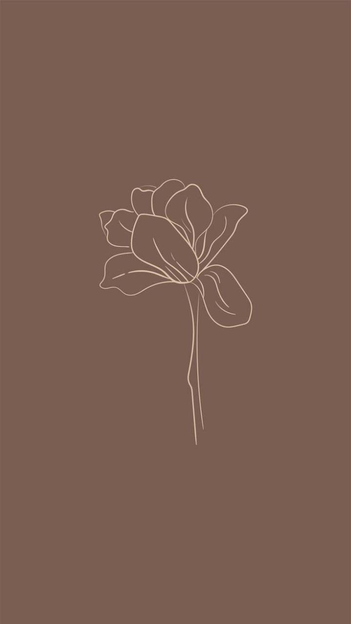 Brown Flower Wallpapers