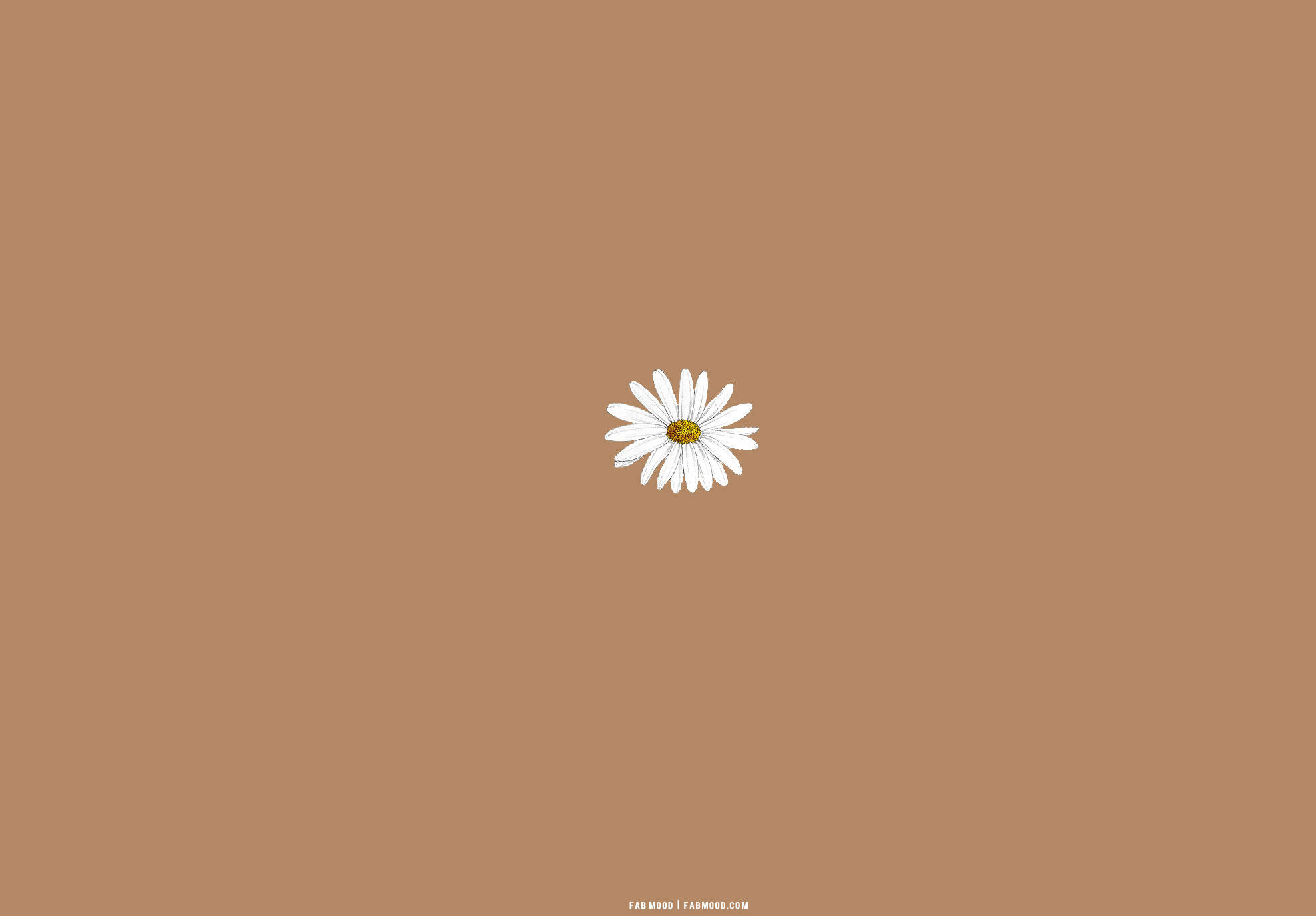 Brown Flower Wallpapers