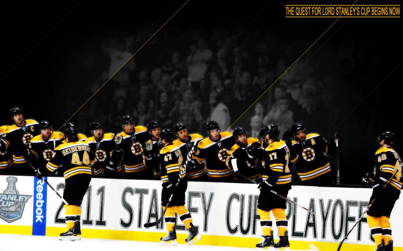 Bruins Wallpapers