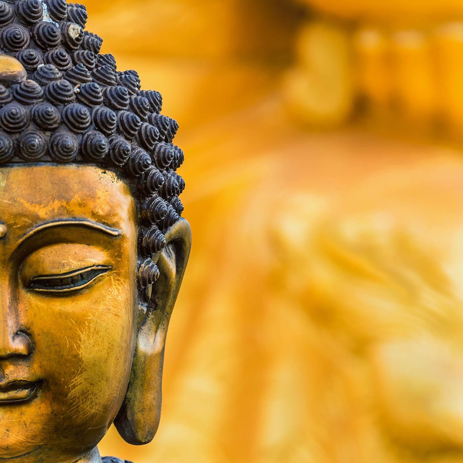 Buddha Images 3D Wallpapers