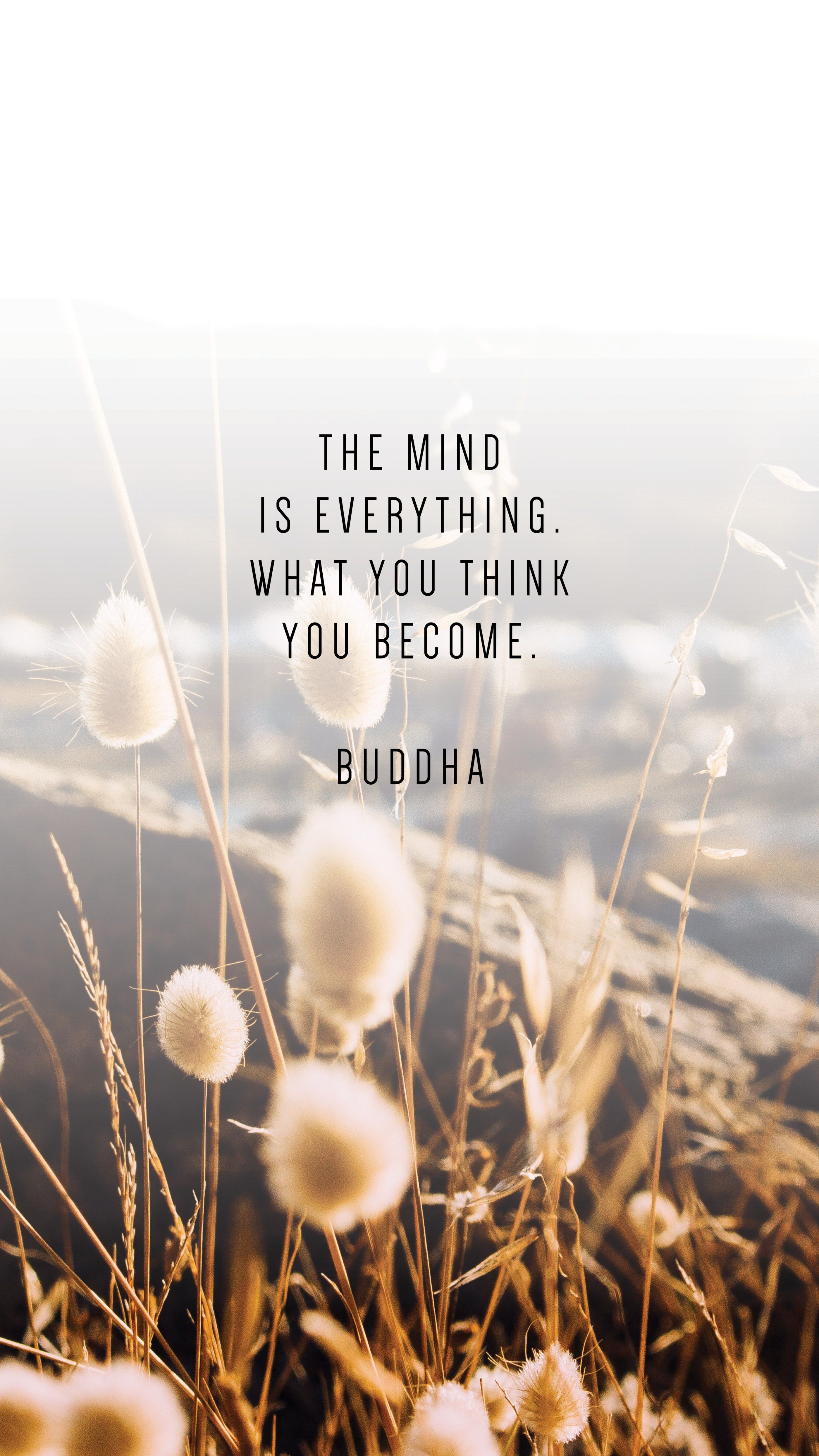 Buddha Quotes Image Wallpapers