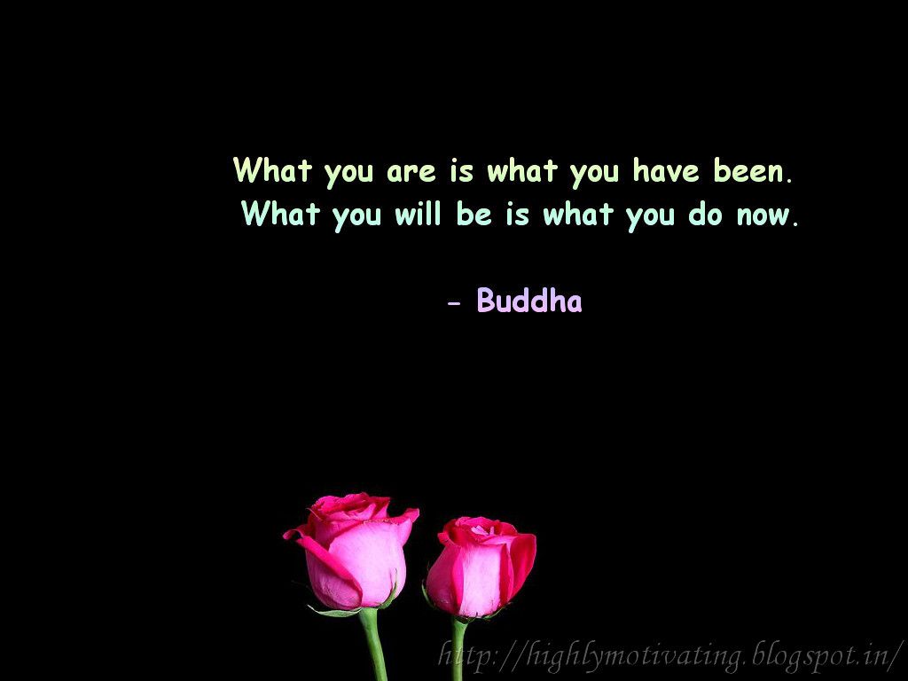 Buddha Quotes Image Wallpapers