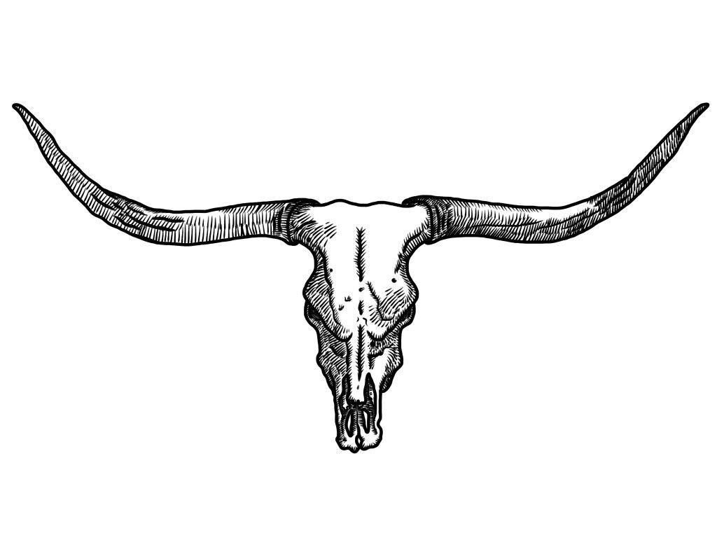 Bull Skull Wallpapers