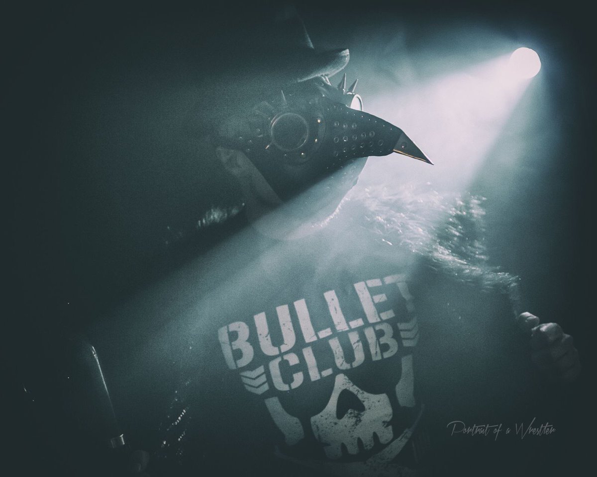 Bullet Club Wallpapers