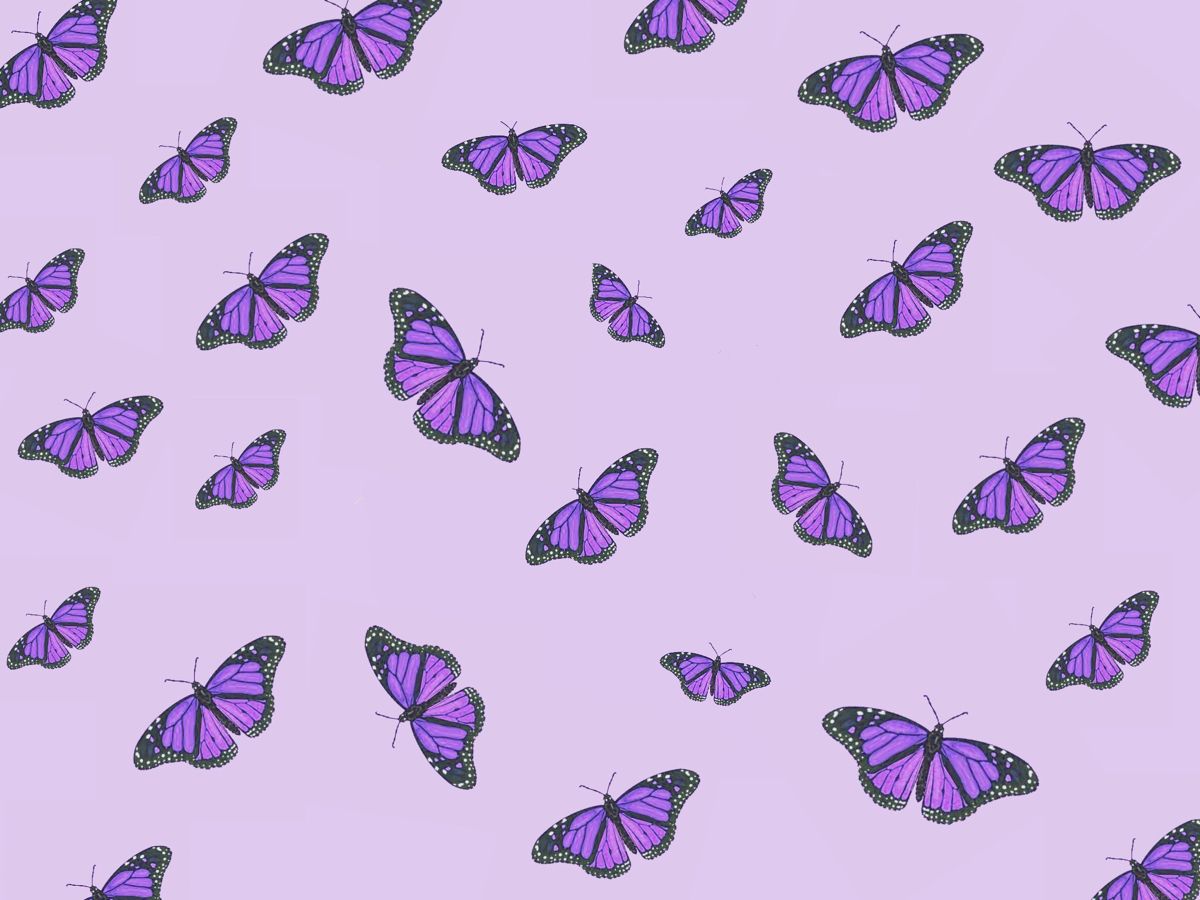 Butterfly Ipad Wallpapers