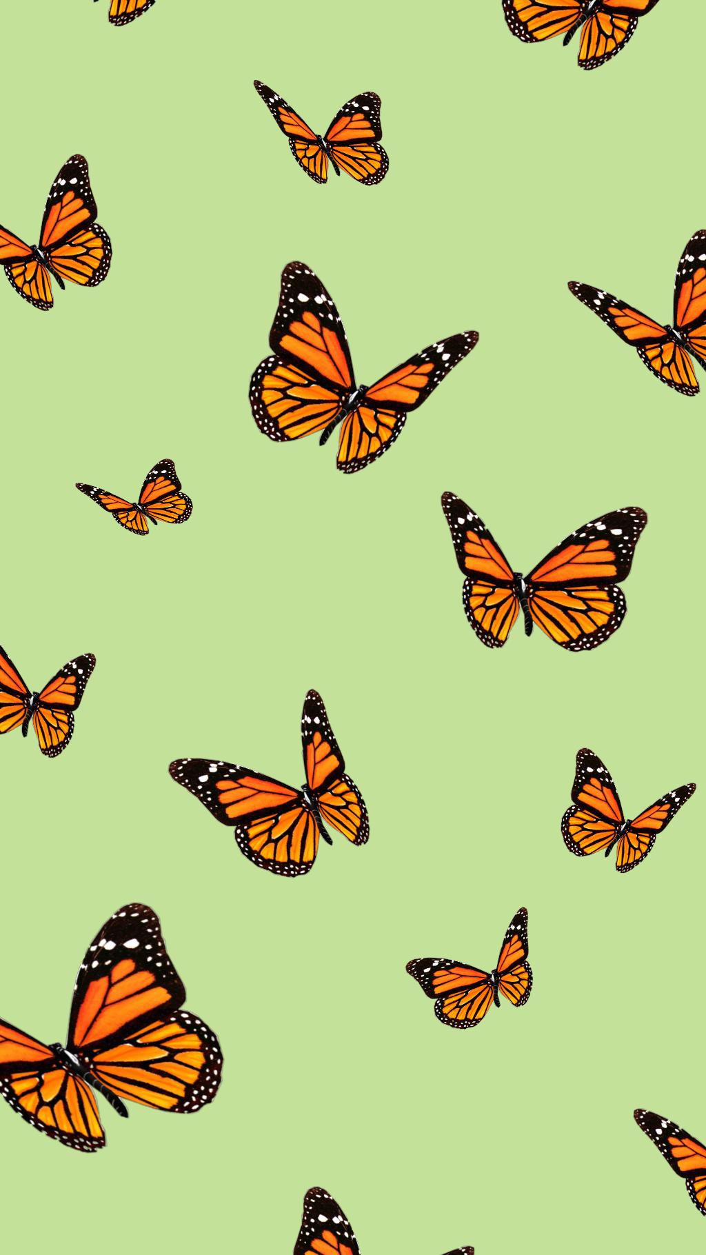 Butterfly Ipad Wallpapers