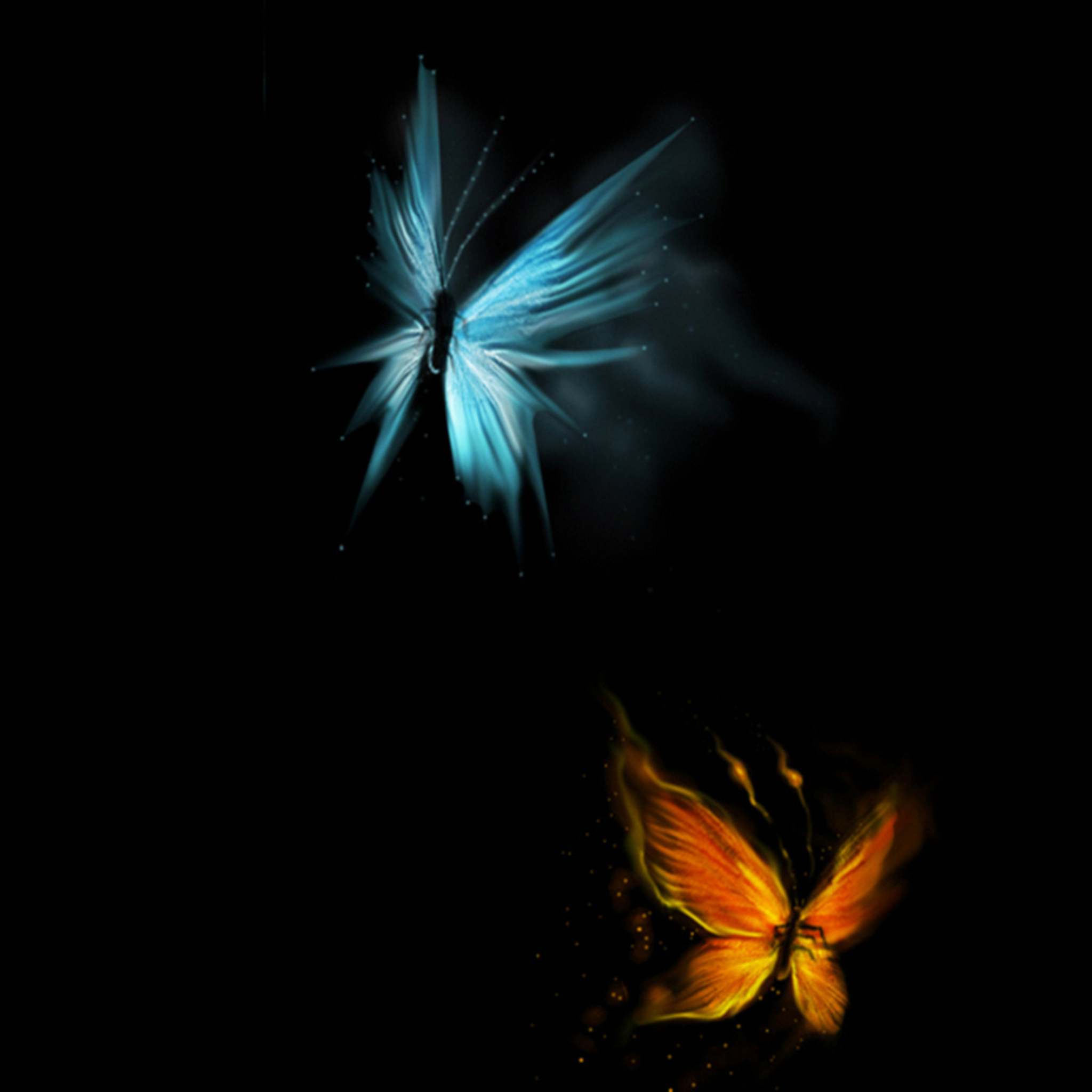 Butterfly Ipad Wallpapers