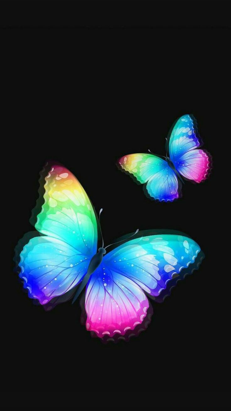 Butterfly Ipad Wallpapers