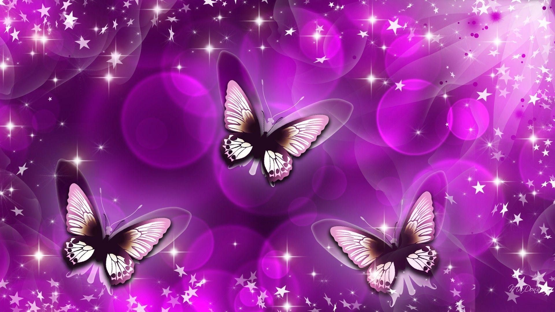 Butterfly Ipad Wallpapers