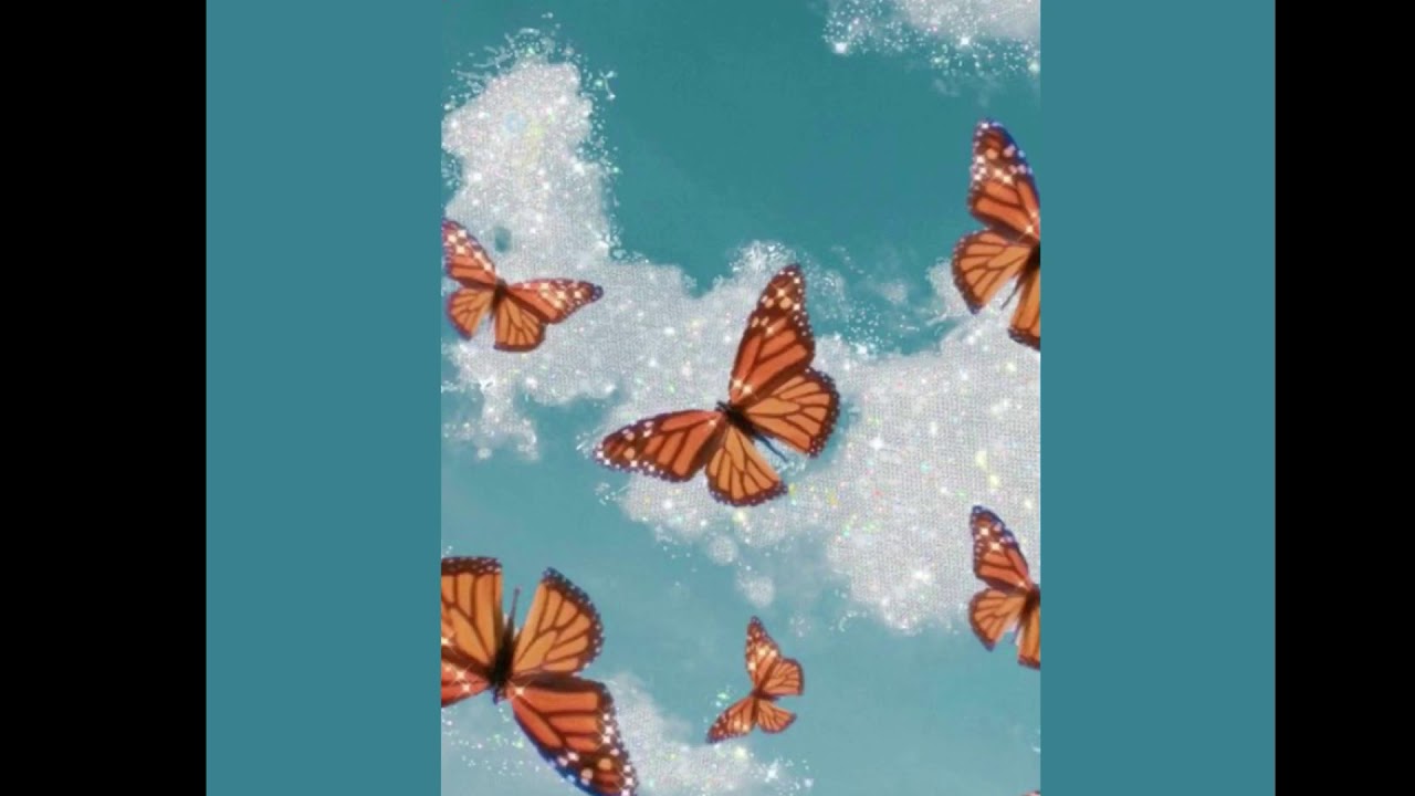 Butterfly Ipad Wallpapers