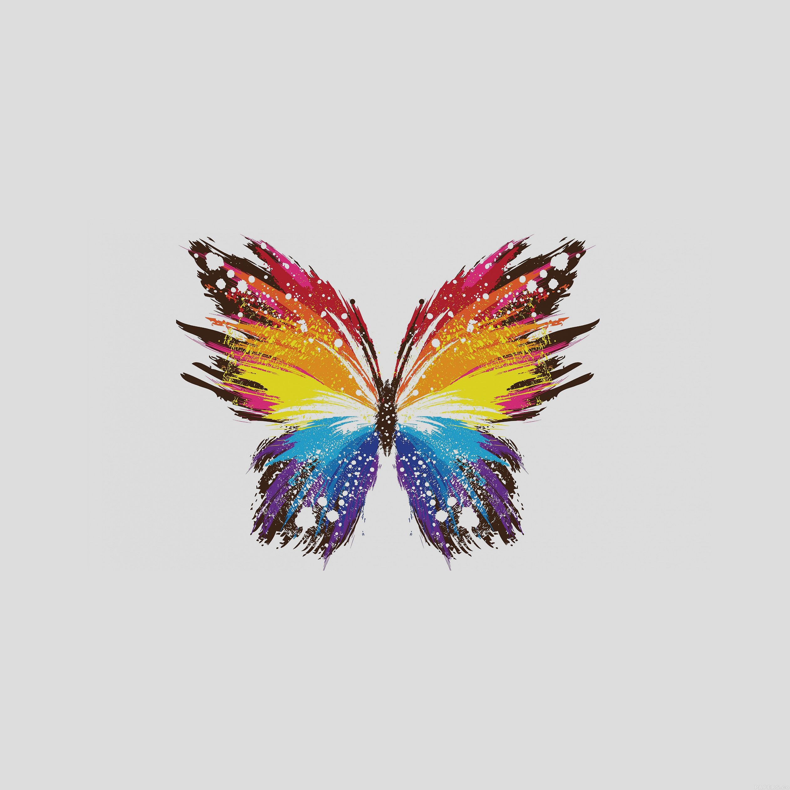 Butterfly Ipad Wallpapers